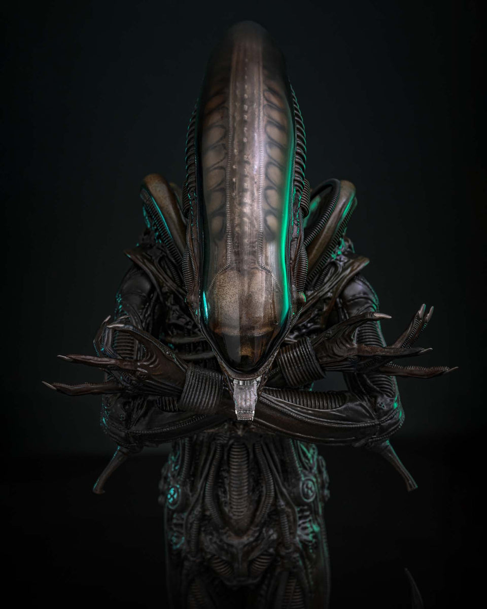 519605401_1161525006011510_331