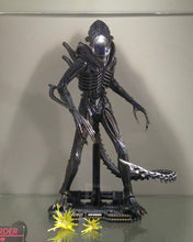 Load image into Gallery viewer, Hot toys MMS354 Alien: Alien Warrior 1/6 Scale Collectible Figure