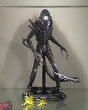 Hot toys MMS354 Alien: Alien Warrior 1/6 Scale Collectible Figure