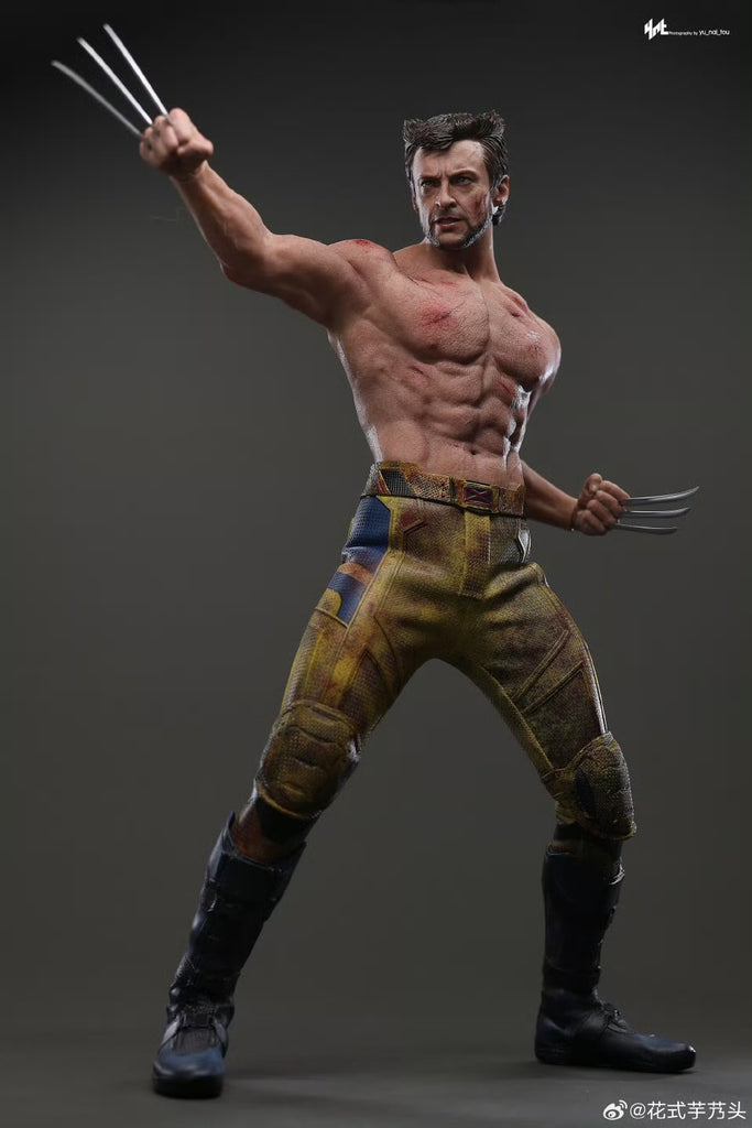 Hot Toys MMS756 Marvel Deadpool and Wolverine Wolverine (Jacket Version) 1/6 Scale Collectible Figure