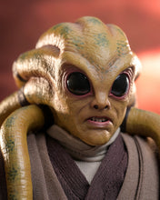 Load image into Gallery viewer, Hot Toys MMS751 Star Wars Revenge of the Sith Kit Fisto 1/6 Scale Collectible Figure