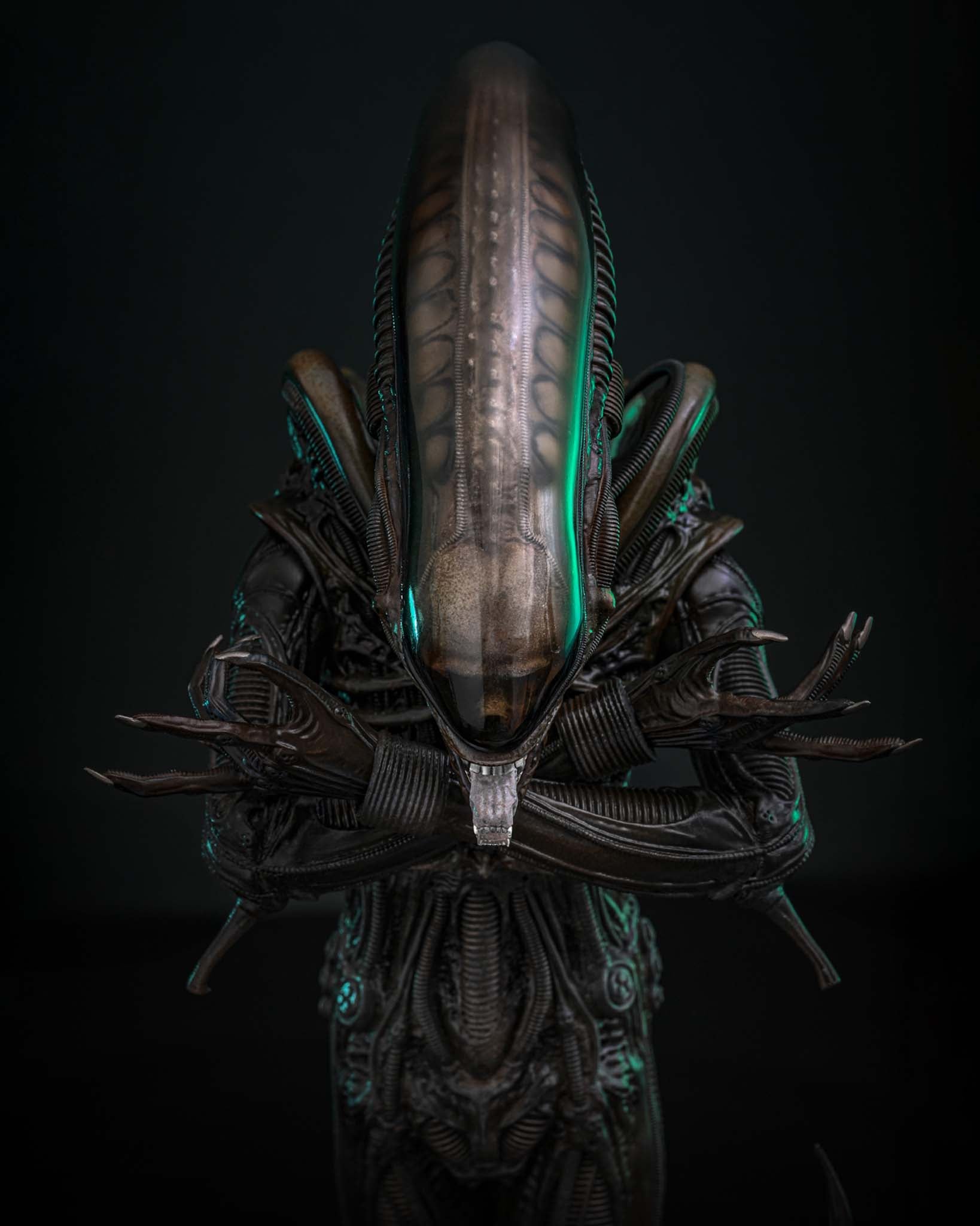 Preorder! Hot Toys MMS826B Alien 1/6th scale Big Chap