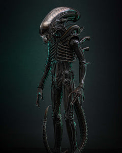 Preorder! Hot Toys MMS826B Alien 1/6th scale Big Chap Collectible Figure Special Edition