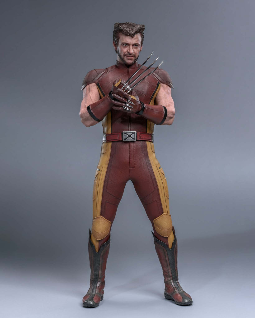 Hot Toys MMS831 Deadpool & Wolverine 1/6th scale Wolverine (Classic Brown and Tan) Collectible Figure [Hot Toys Exclusive]