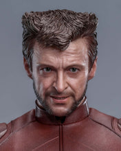 Load image into Gallery viewer, Hot Toys MMS831 Deadpool &amp; Wolverine 1/6th scale Wolverine (Classic Brown and Tan) Collectible Figure [Hot Toys Exclusive]