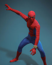 Load image into Gallery viewer, Hot Toys TMS164 Spider-Man (1978) [Japan] 1/6th scale Spider-Man Collectible Figure [Hot Toys Exclusive]