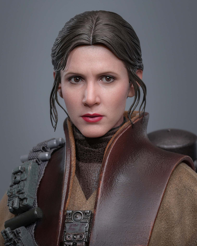 Preorder! Hot Toys MMS854 Star Wars: Return of the Jedi 1/6th scale Leia Organa (Boushh Disguise) Collectible Figure