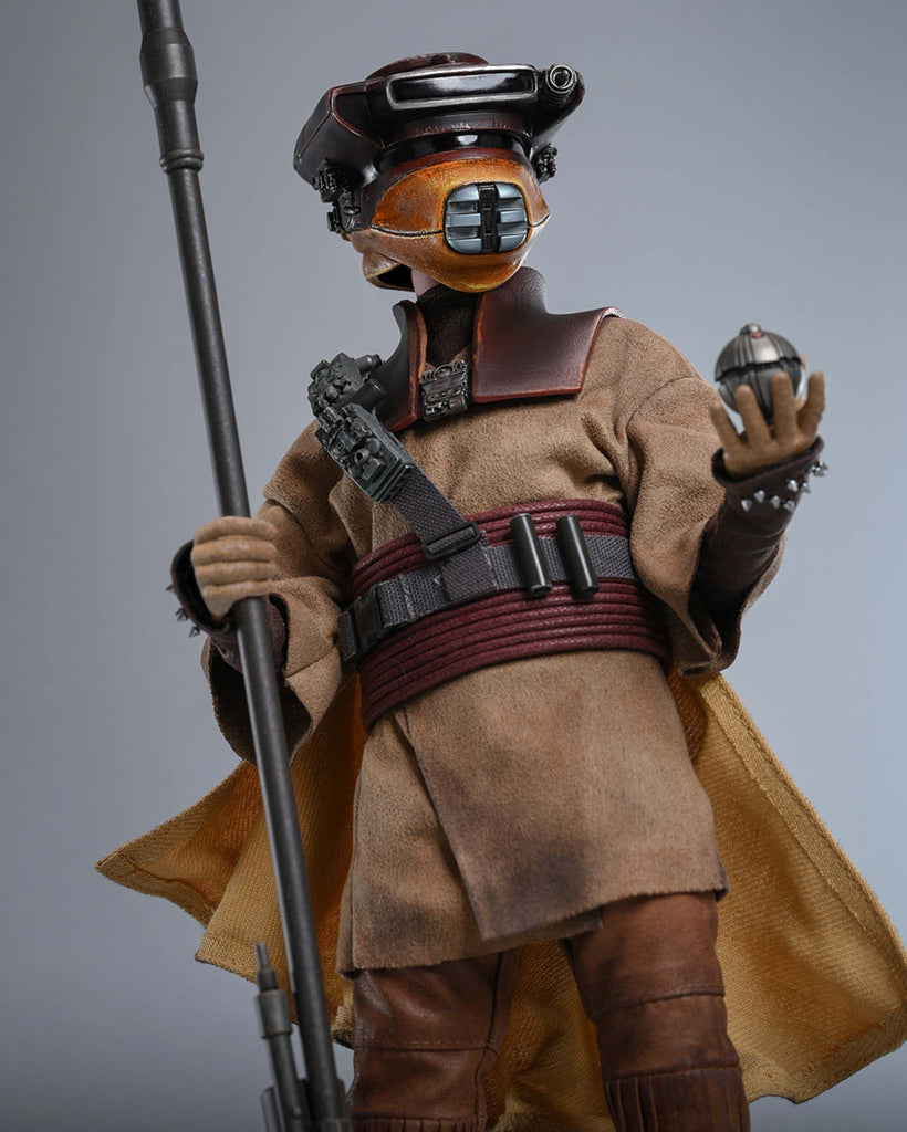 Preorder! Hot Toys MMS854 Star Wars: Return of the Jedi 1/6th scale Leia Organa (Boushh Disguise) Collectible Figure
