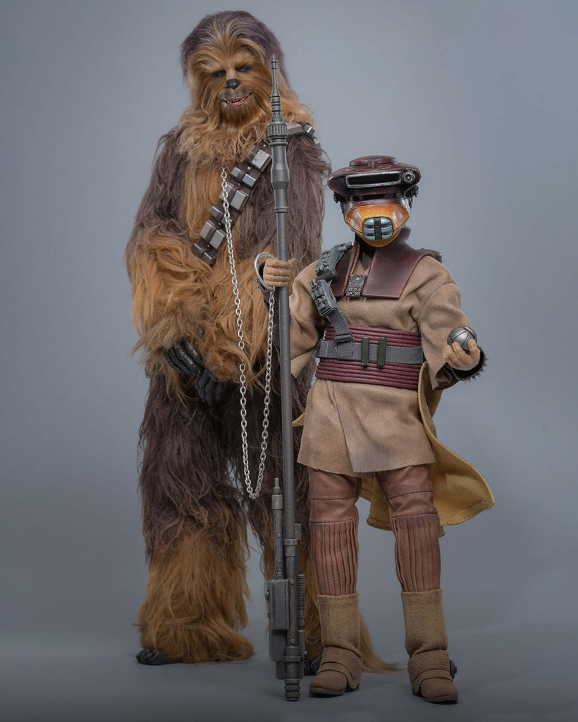 Preorder! Hot Toys MMS854 Star Wars: Return of the Jedi 1/6th scale Leia Organa (Boushh Disguise) Collectible Figure