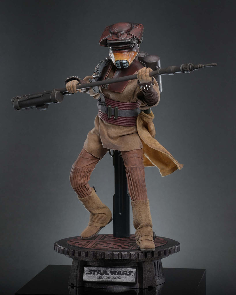 Preorder! Hot Toys MMS854 Star Wars: Return of the Jedi 1/6th scale Leia Organa (Boushh Disguise) Collectible Figure