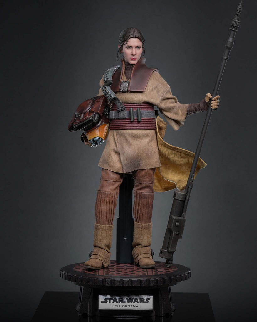 Preorder! Hot Toys MMS854 Star Wars: Return of the Jedi 1/6th scale Leia Organa (Boushh Disguise) Collectible Figure