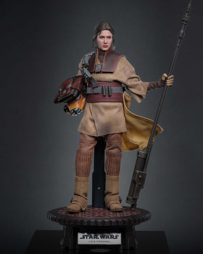 Preorder! Hot Toys MMS854 Star Wars: Return of the Jedi - Leia Organa (Boushh Disguise) 1/6th Scale Collectible Figure