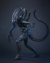 Load image into Gallery viewer, Preorder! Hot Toys MMS898 Aliens Alien Warrior 1/6th scale Collectible Figure