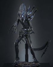 Load image into Gallery viewer, Preorder! Hot Toys MMS898 Aliens Alien Warrior 1/6th scale Collectible Figure