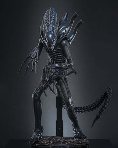 Preorder! Hot Toys MMS898 Aliens Alien Warrior 1/6th scale Collectible Figure