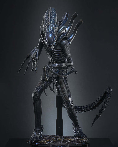 Preorder! Hot Toys MMS898 Aliens Alien Warrior 1/6th scale Collectible Figure