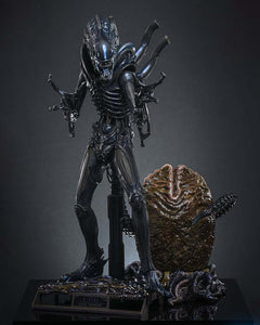 Preorder! Hot Toys MMS899 Aliens Alien Warrior (Deluxe Version) 1/6th scale Collectible Figure
