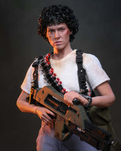 Load image into Gallery viewer, Preorder! Hot Toys MMS896AE Aliens Ellen Ripley (Artisan Edition Deluxe Version) [Hot Toys Exclusive] 1/6th scale Collectible Figure