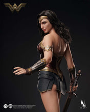 Load image into Gallery viewer, Preorder! INART Batman v Superman: Dawn of Justice Wonder Woman 1/6 scale Collectible Figure