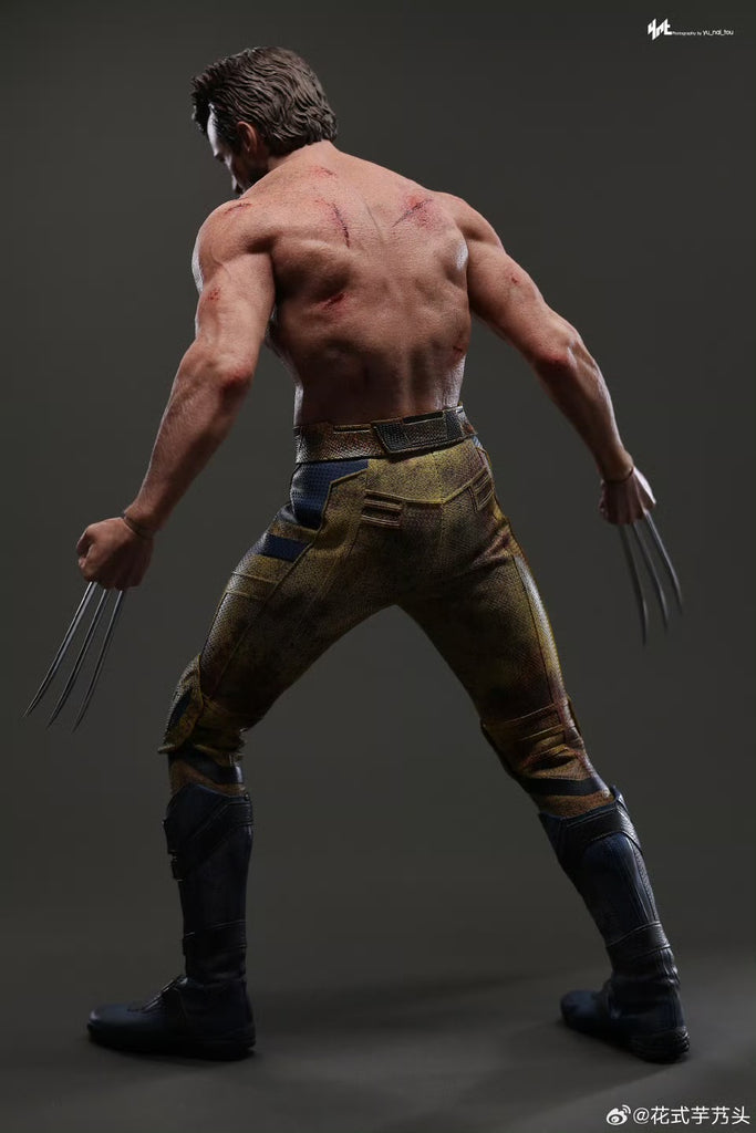 Hot Toys MMS756 Marvel Deadpool and Wolverine Wolverine (Jacket Version) 1/6 Scale Collectible Figure