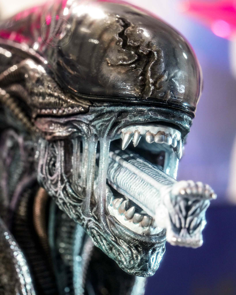 Preorder! Hot Toys MMS784 Alien: Romulus 1/6th scale Scorched Xenomorph Collectible Figure