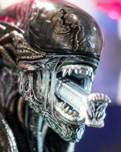 Load image into Gallery viewer, Preorder! Hot Toys MMS784 Alien: Romulus 1/6th scale Scorched Xenomorph Collectible Figure