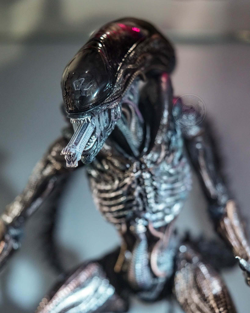 Preorder! Hot Toys MMS784 Alien: Romulus 1/6th scale Scorched Xenomorph Collectible Figure