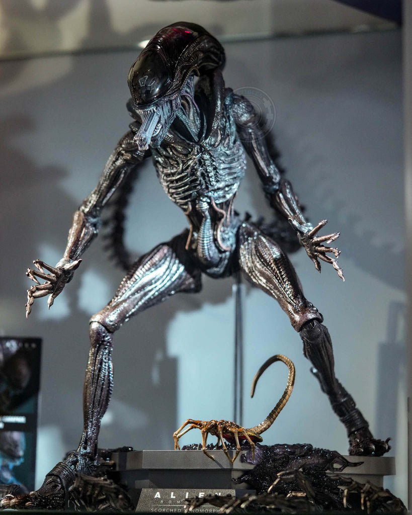 Preorder! Hot Toys MMS784 Alien: Romulus 1/6th scale Scorched Xenomorph Collectible Figure