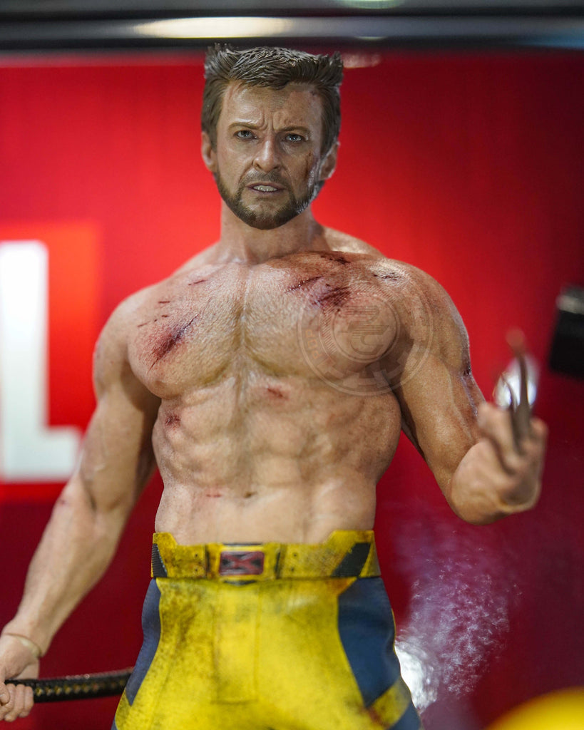 Preorder! Hot Toys MMS756 Marvel Deadpool and Wolverine Wolverine (Jacket Version) 1/6 Scale Collectible Figure