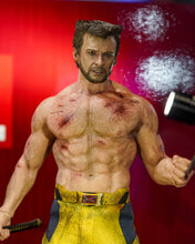 Load image into Gallery viewer, Preorder! Hot Toys MMS756 Marvel Deadpool and Wolverine Wolverine (Jacket Version) 1/6 Scale Collectible Figure