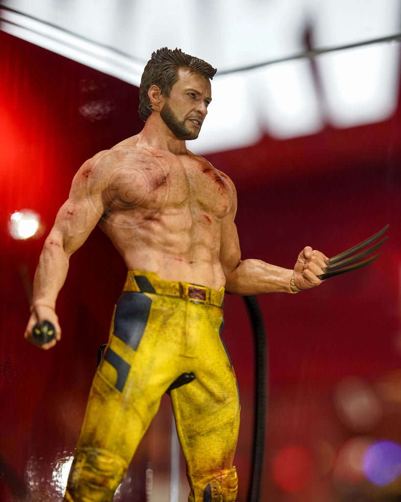 Preorder! Hot Toys MMS756 Marvel Deadpool and Wolverine Wolverine (Jacket Version) 1/6 Scale Collectible Figure