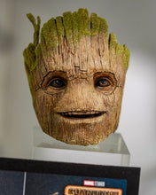 Load image into Gallery viewer, Hot Toys MMS707 Guardians of the Galaxy Volume 3 Groot 1/6 Scale Collectible Figure Deluxe Version