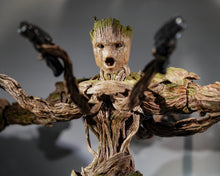 Load image into Gallery viewer, Hot Toys MMS707 Guardians of the Galaxy Volume 3 Groot 1/6 Scale Collectible Figure Deluxe Version