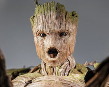 Load image into Gallery viewer, Hot Toys MMS707 Guardians of the Galaxy Volume 3 Groot 1/6 Scale Collectible Figure Deluxe Version