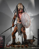 Preorder! Hot Toys TMS114 The Prey Feral Predator 1/6 Scale Collectible Figure