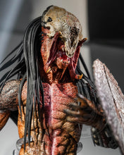 Load image into Gallery viewer, Preorder! Hot Toys TMS114 The Prey Feral Predator 1/6 Scale Collectible Figure