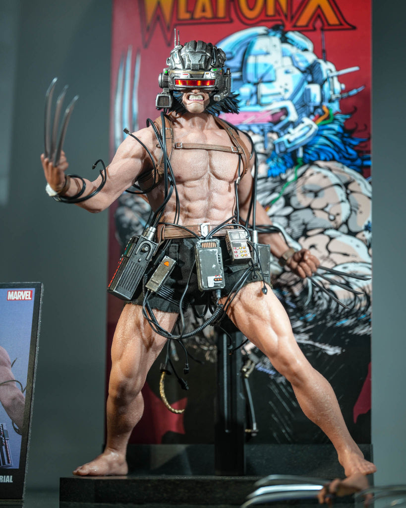 Preorder! Hot Toys CMS034 Marvel Comics 1/6th scale Weapon X Collectible Figure