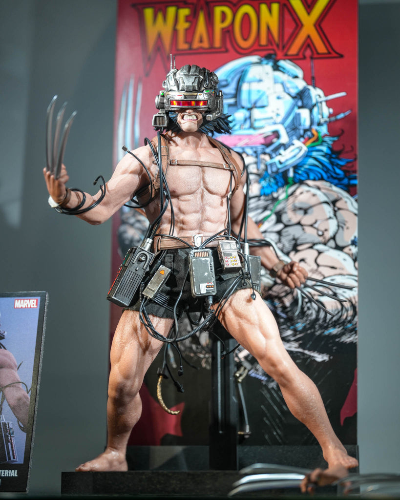 Preorder! Hot Toys CMS034 Marvel Comics 1/6th scale Weapon X Collectible Figure