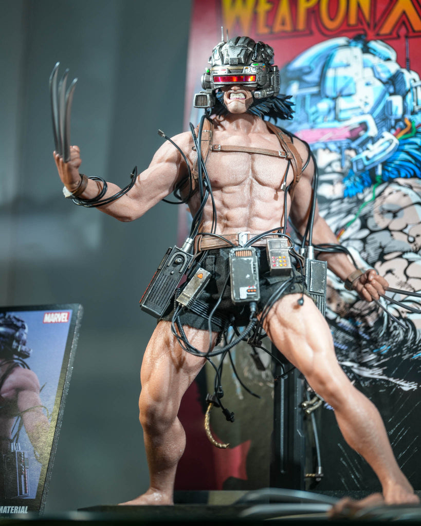 Preorder! Hot Toys CMS034 Marvel Comics 1/6th scale Weapon X Collectible Figure