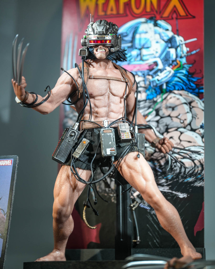 Preorder! Hot Toys CMS034 Marvel Comics 1/6th scale Weapon X Collectible Figure