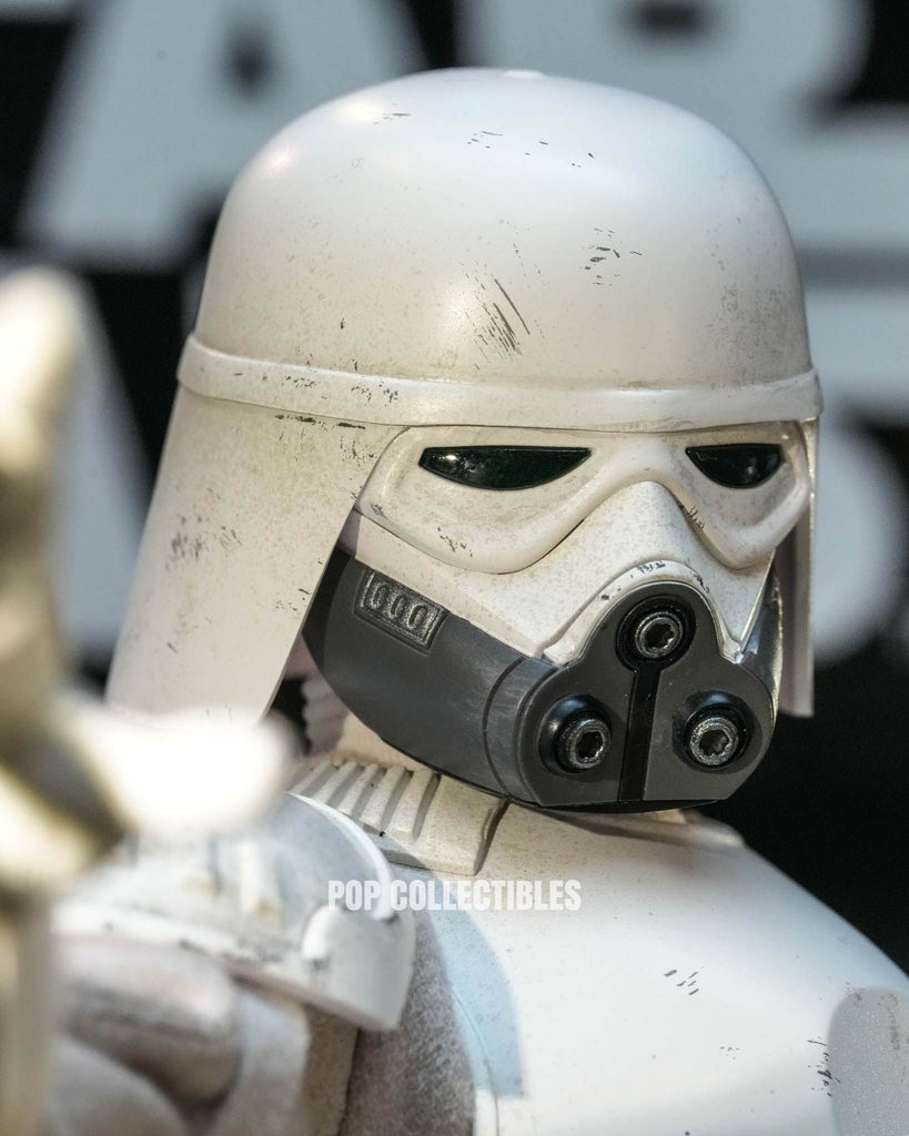 Hot Toys MMS838 Star Wars: The Mandalorian & Grogu 1/6th scale Imperial Remnant Snowtrooper Collectible Figure