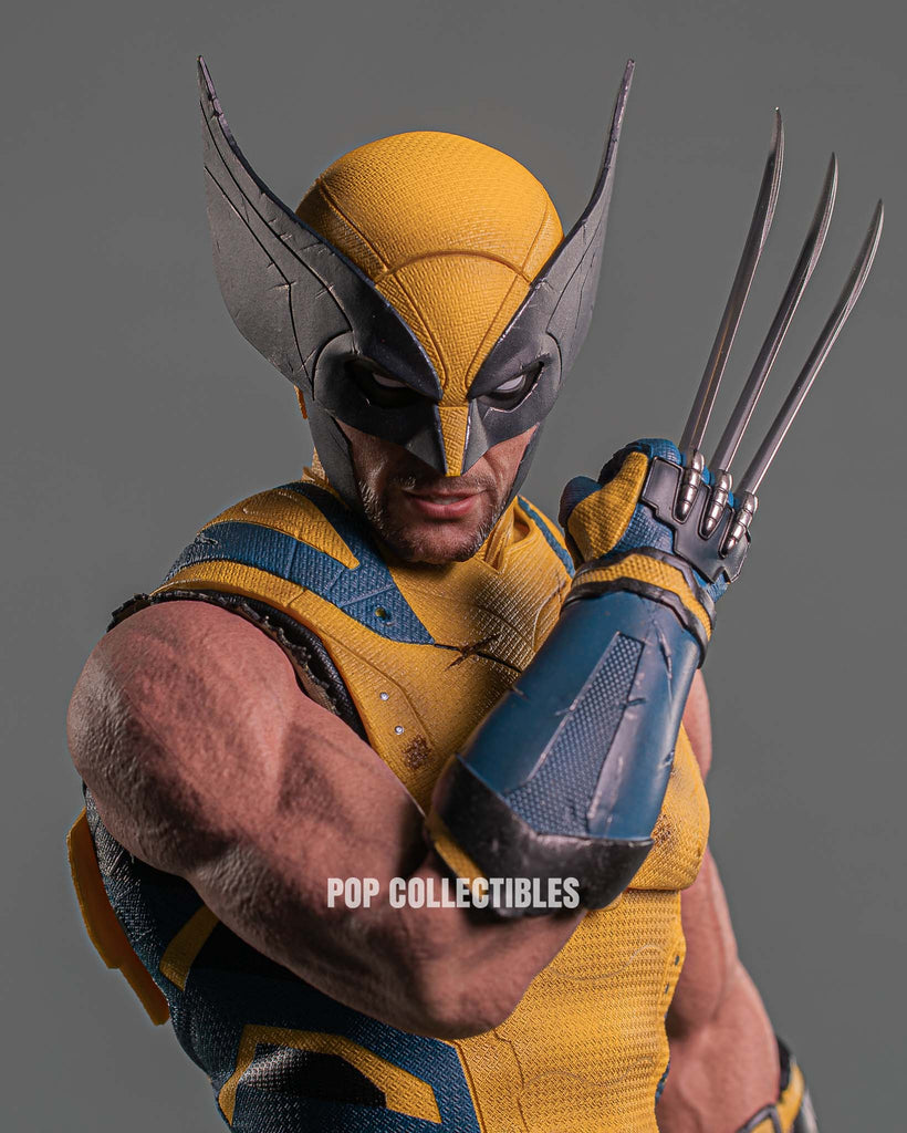 Hot Toys MMS754 Deadpool and Wolverine: Wolverine 1/6 Scale Collectible Figure Deluxe Edition