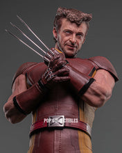 Load image into Gallery viewer, Hot Toys MMS831 Deadpool &amp; Wolverine 1/6th scale Wolverine (Classic Brown and Tan) Collectible Figure [Hot Toys Exclusive]