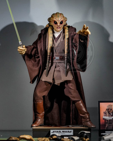 STAR WARS - Revenge of the Sith ROTS - Figurine Palpatine - Hasbro EUR 30,00 - FR