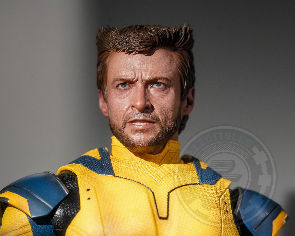 Preorder! Hot Toys MMS754 Deadpool and Wolverine - Wolverine 1/6 Scale Collectible Figure Deluxe Edition