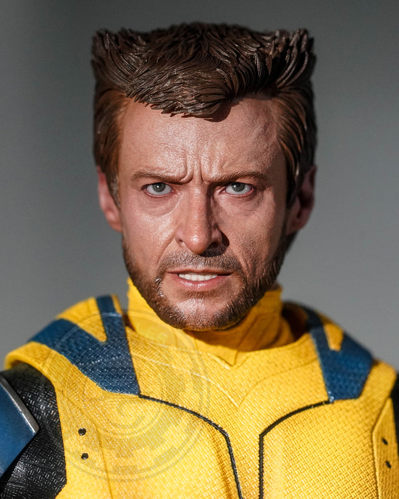 Preorder! Hot Toys MMS754 Deadpool and Wolverine - Wolverine 1/6 Scale Collectible Figure Deluxe Edition