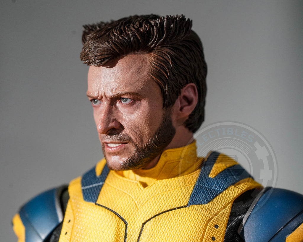 Preorder! Hot Toys MMS754 Deadpool and Wolverine - Wolverine 1/6 Scale Collectible Figure Deluxe Edition