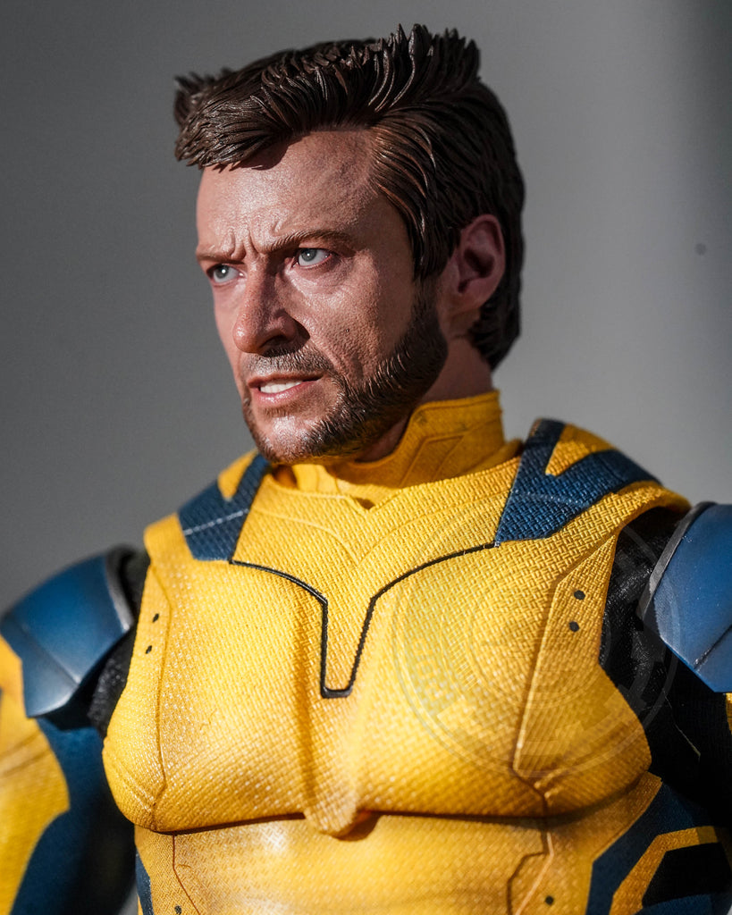 Preorder! Hot Toys MMS754 Deadpool and Wolverine - Wolverine 1/6 Scale Collectible Figure Deluxe Edition