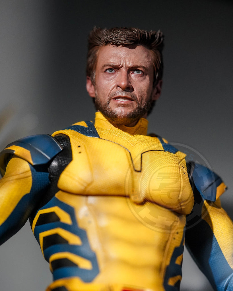 Preorder! Hot Toys MMS754 Deadpool and Wolverine - Wolverine 1/6 Scale Collectible Figure Deluxe Edition