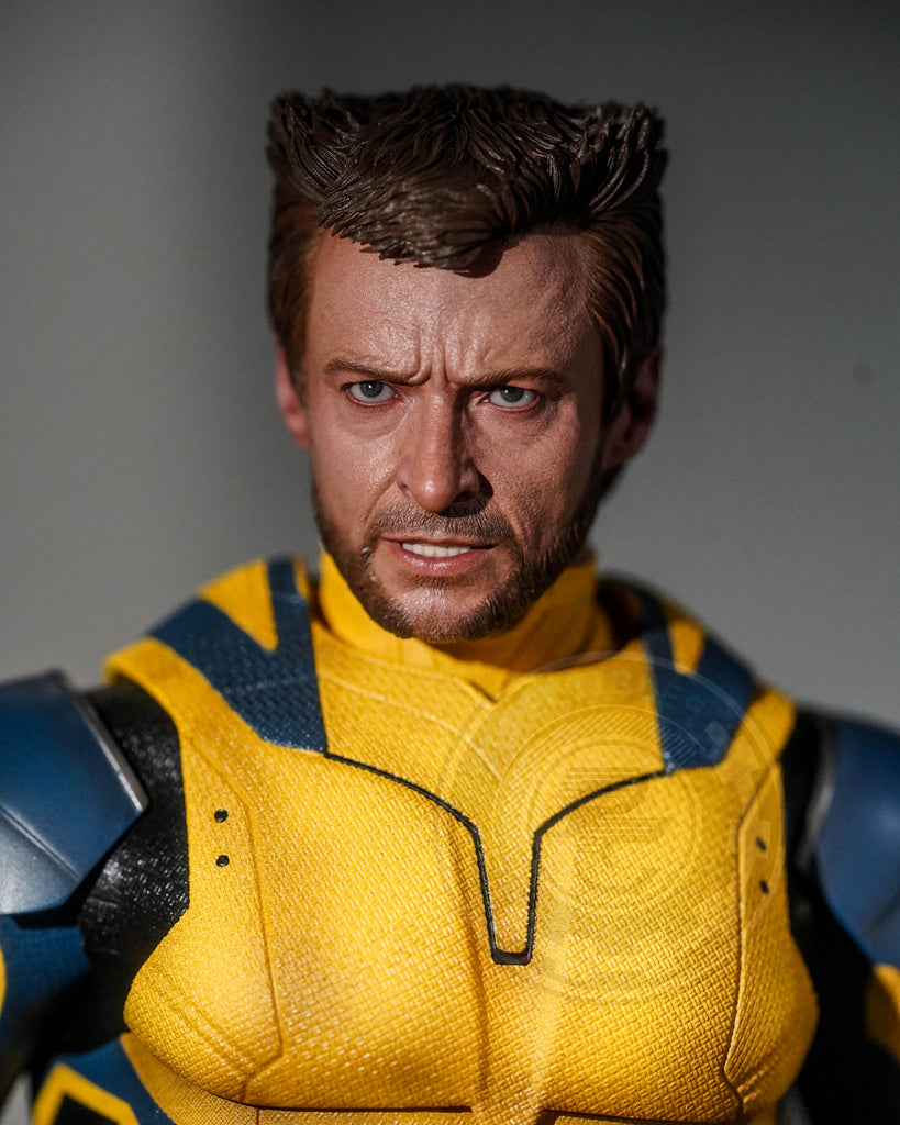 Preorder! Hot Toys MMS754 Deadpool and Wolverine - Wolverine 1/6 Scale Collectible Figure Deluxe Edition